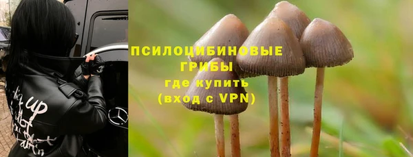 дурь Бронницы
