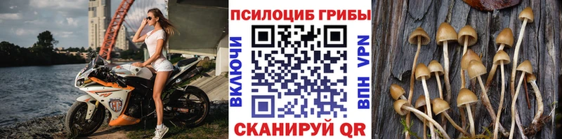 мега рабочий сайт  Катав-Ивановск  Галлюциногенные грибы ЛСД  магазин продажи  